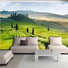 Arkiio Fototapet Morning In The Countryside in the countryside 200x140