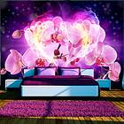 Arkiio Fototapet Orchids In Flames in flames 150x105
