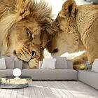 Arkiio Fototapet Lion Tenderness Självhäftande fototapet 245x175