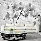 Arkiio Fototapet Orchid In Shades Of Gray in of 200x140