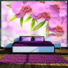 Arkiio Fototapet Orchids In Lilac Colour in lilac colour 150x105