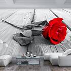 Arkiio Fototapet Självhäftande Abandoned Rose fototapet 98x70