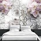 Arkiio Fototapet Bright Red Orchids red orchids 100x70