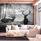 Arkiio Fototapet Deers in the Morning Självhäftande 196x140