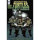 Teenage Mutant Ninja Turtles: Urban Legends, Vol. 1
