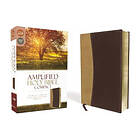 Amplified Holy Bible, Compact, Leathersoft, Tan/Burgundy