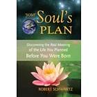 Your Soul's Plan