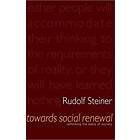 Towards Social Renewal