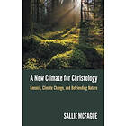 A New Climate for Christology