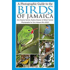 A Photographic Guide to the Birds of Jamaica