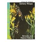 Solitary Wasps