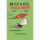 Go Fly a Kite, Charlie Brown