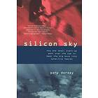 Silicon Sky