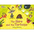 The Hare and the Tortoise