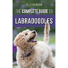 The Complete Guide to Labradoodles