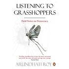 Listening to Grasshoppers