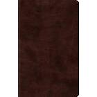 ESV Thinline Bible