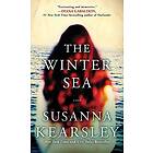The Winter Sea
