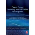 Ocean Energy Modeling and Simulation with Big Data