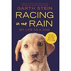 Racing in the Rain