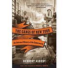 The Gangs of New York: An Informal History of the Underworld