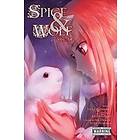 Spice and Wolf, Vol. 14 (manga)