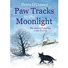 Paw Tracks in the Moonlight