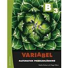 Variabel B3 Digitalt Tryckt Matematisk problemlösning