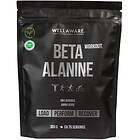 WellAware Workout Beta Alanine 0,3kg