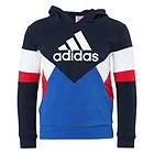 Adidas Colorblock Fleece Hoodie (Herre)