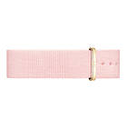 Daniel Wellington Petite Rosewater Gold 14mm Strap