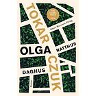 Daghus natthus