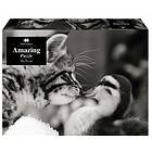 1Conzept Amazing Pussel Söt katt 1000 bitar