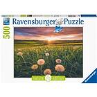 Ravensburger Pussel Dandelions In Sunset 500 Bitar