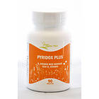 Alpha Plus B6-Vitamin PyridoxPlus 90 Tabletter