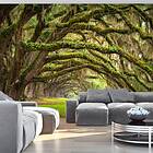 Arkiio Fototapet Tree Embrace embrace 400x280