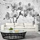 Arkiio Fototapet Orchid In Shades Of Gray in of 400x280