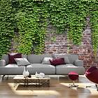 Arkiio Fototapet Brick And Ivy and ivy 200x140
