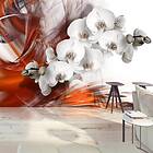 Arkiio Fototapet Orchid On Fire II on fire 250x175