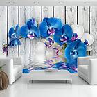 Arkiio Fototapet Cobaltic Orchid orchid 200x140