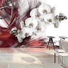 Arkiio Fototapet Orchid In Red in red 250x175