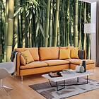 Arkiio Fototapet Bambo Bamboo Exotic 250x175