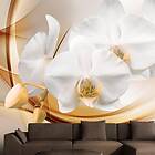 Arkiio Fototapet Orchid Blossom blossom 250x175