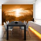 Arkiio Fototapet Beach Sepia beach (sepia) 250x175