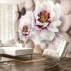 Arkiio Fototapet Flowers And Shells and 250x175