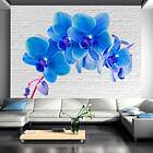 Arkiio Fototapet Blu Blue excitation 200x140