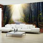 Arkiio Fototapet Road Through The Forest through the 250x175