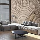 Arkiio Fototapet Wood Grain grain 400x280