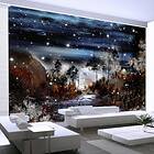 Arkiio Fototapet Night In The Forest in the forest 400x280