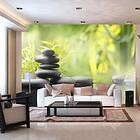 Arkiio Fototapet Serenity Of Nature of nature 250x175
